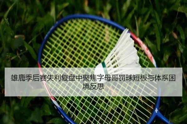 雄鹿季后赛失利复盘中聚焦字母哥罚球短板与体系困境反思