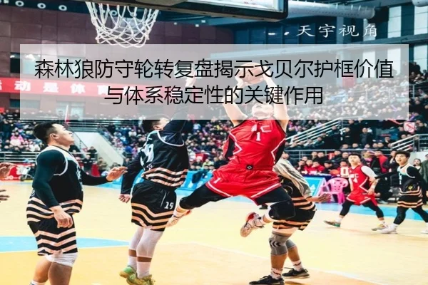 森林狼防守轮转复盘揭示戈贝尔护框价值与体系稳定性的关键作用